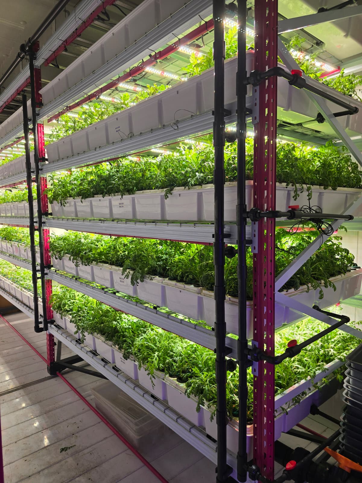 Aeroveg aeroponic farm facility in Singapore