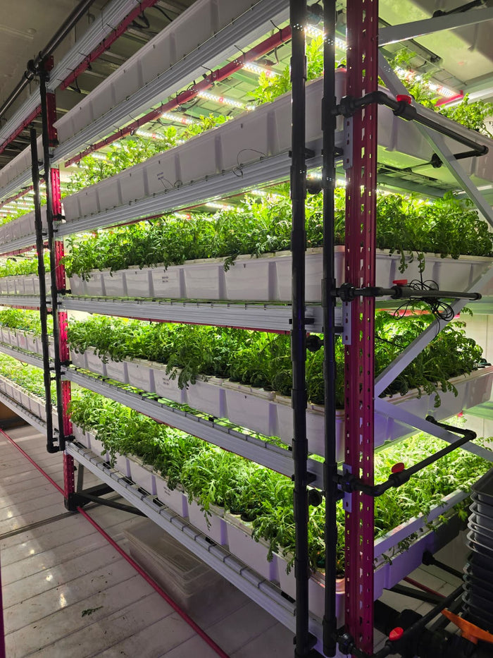 Aeroveg aeroponic farm facility in Singapore