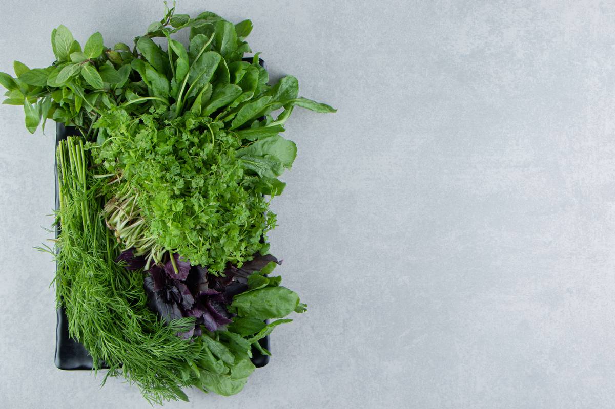 Fresh leafy greens harvested directly from Aeroveg aeroponic farm