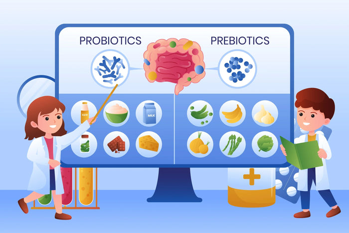Gut Health: The Science-Backed Guide to What Actually Works