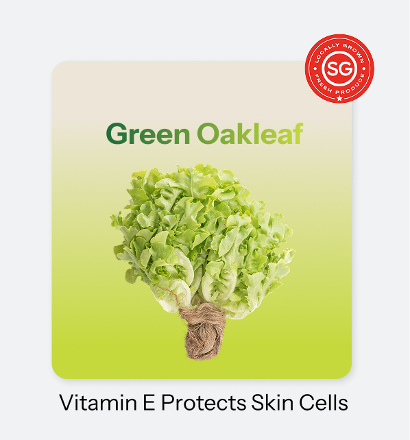 Green Oakleaf