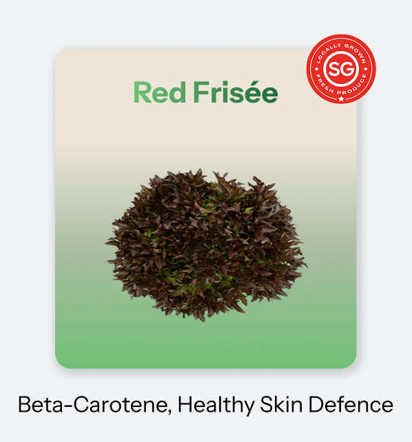 Red Frisee