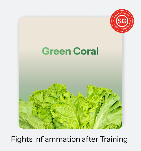 Fit Leaf