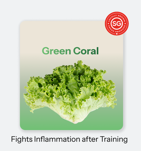 Fit Leaf