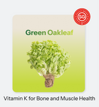 Fit Leaf