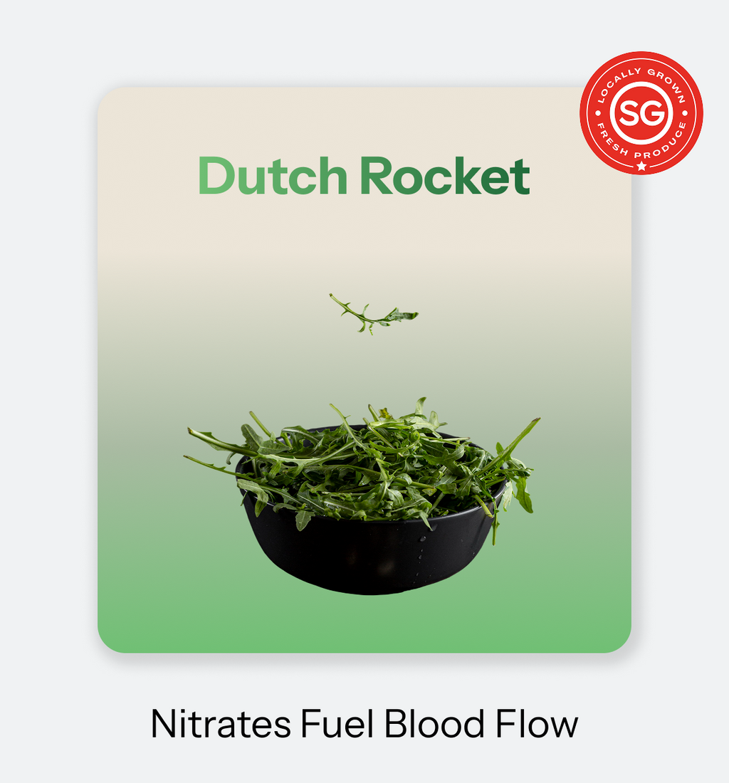 Dutch_Rocket