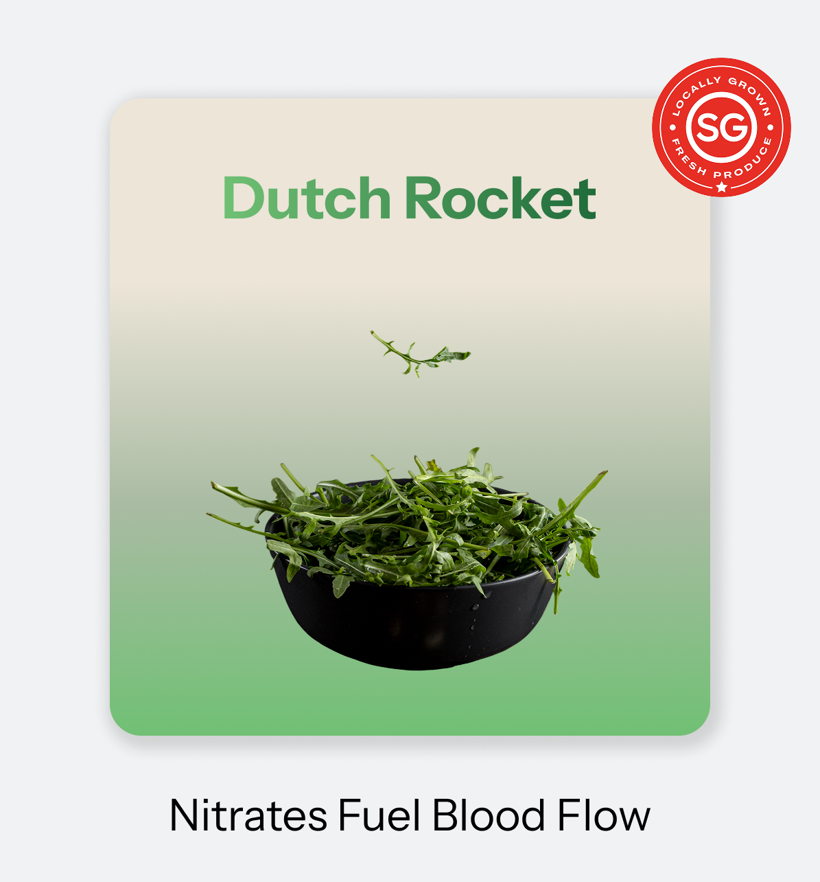 Dutch_Rocket