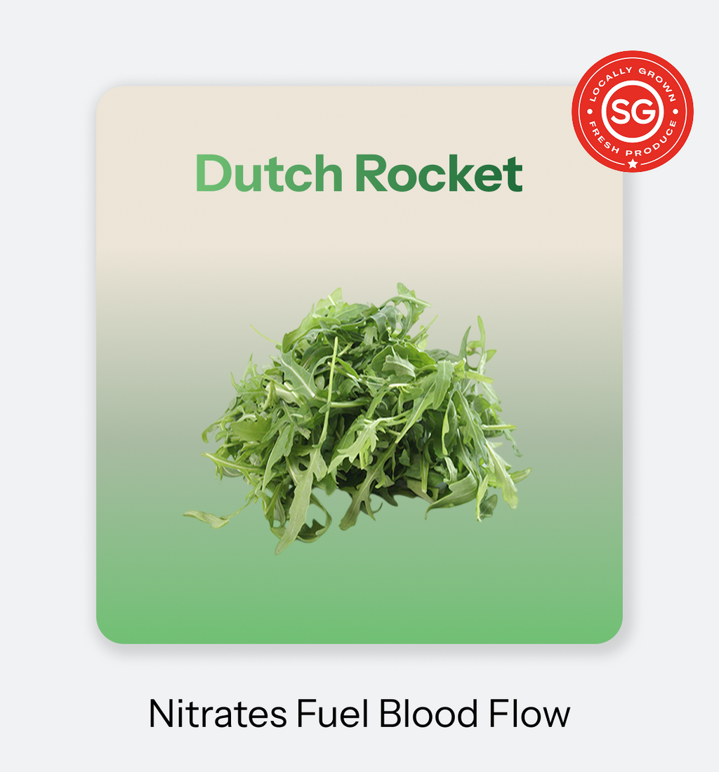 Dutch_Rocket