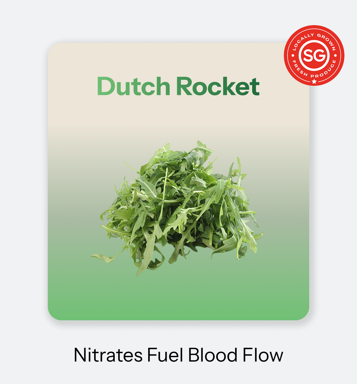 Dutch_Rocket