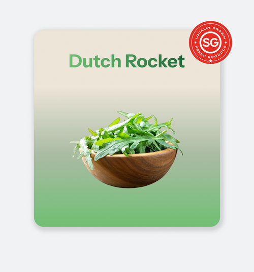 Dutch_Rocket