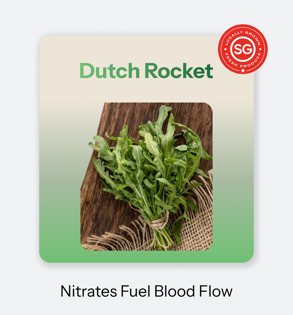 Dutch_Rocket
