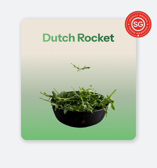 Dutch_Rocket