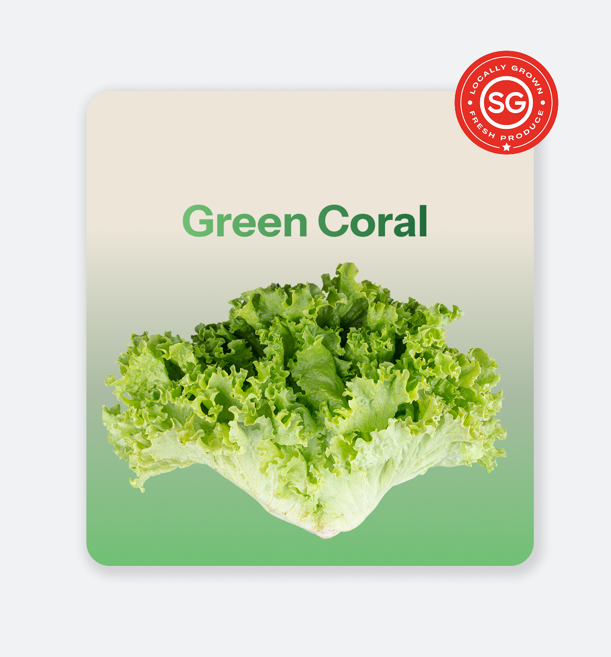Green_Coral