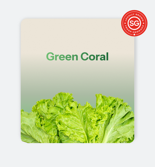 Green_Coral