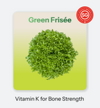 Green Frisee