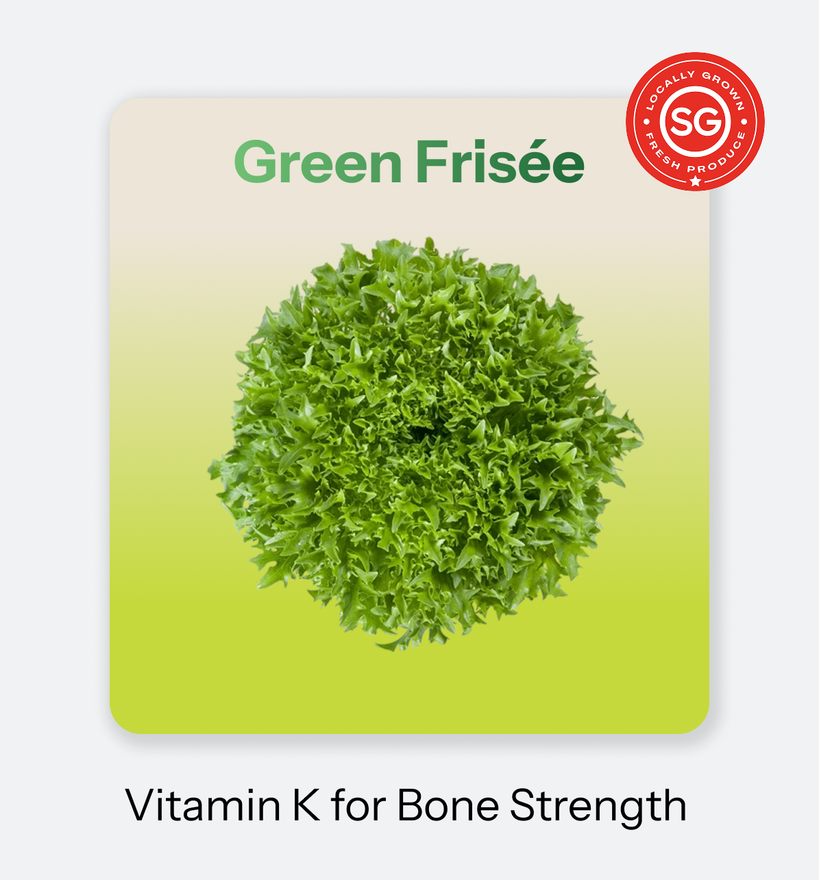 Green Frisee