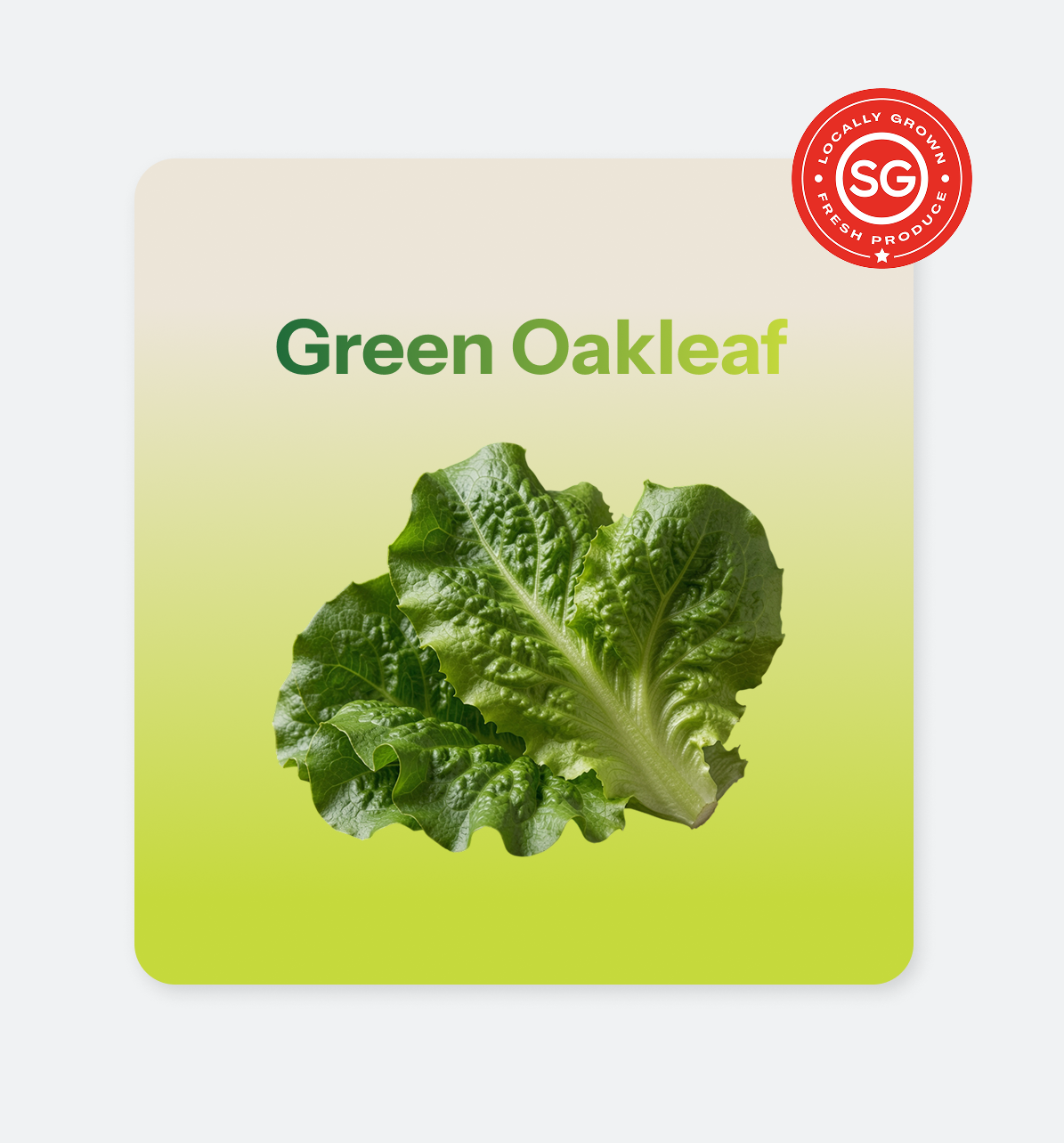 Green_Oakleaf