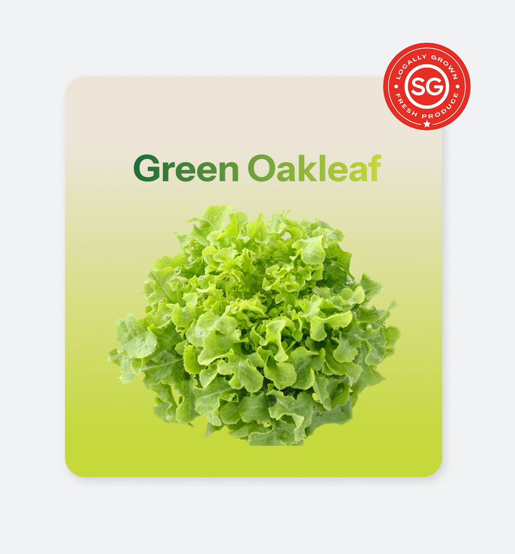 Green_Oakleaf