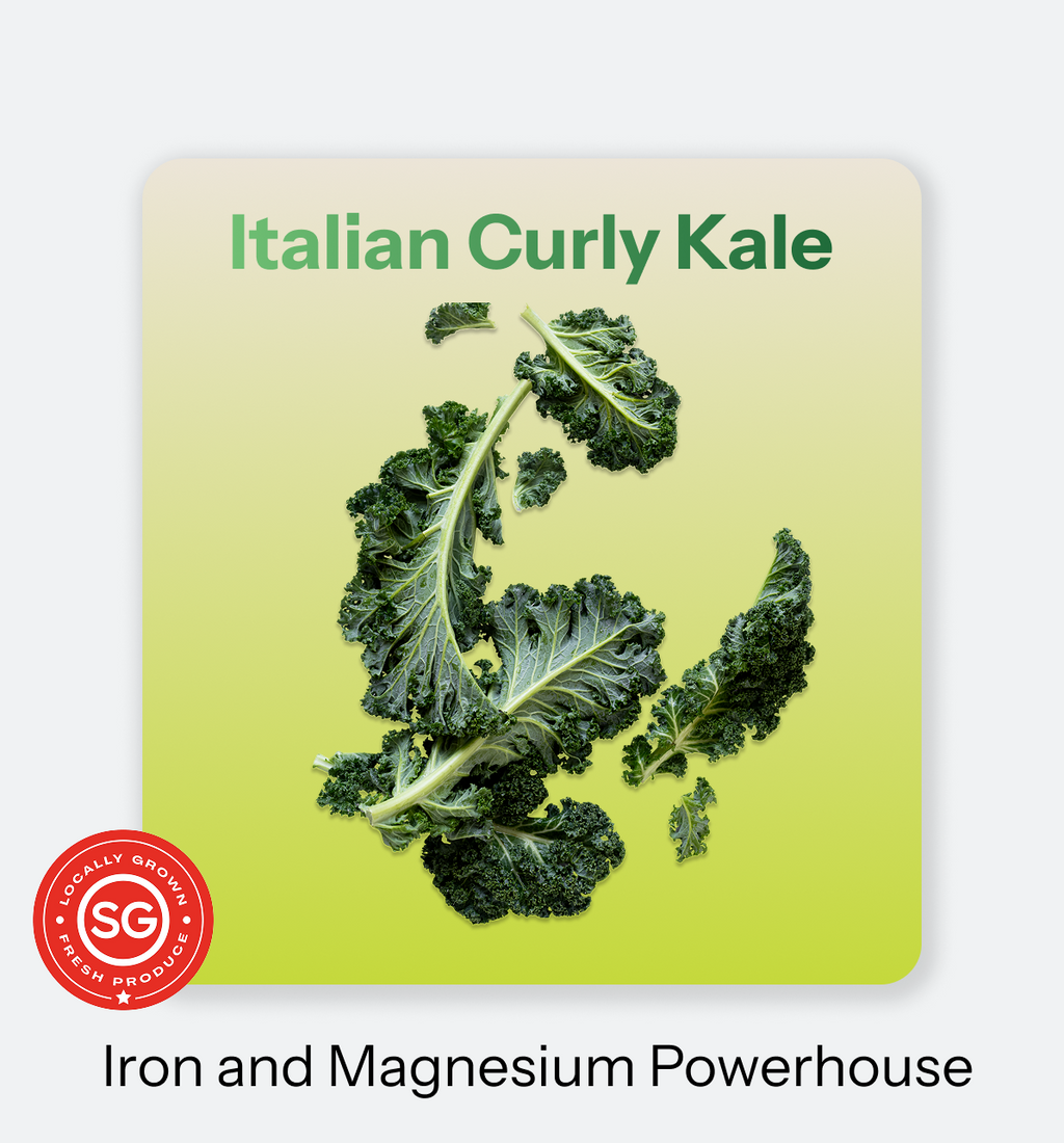 Italian_Curly_Kale