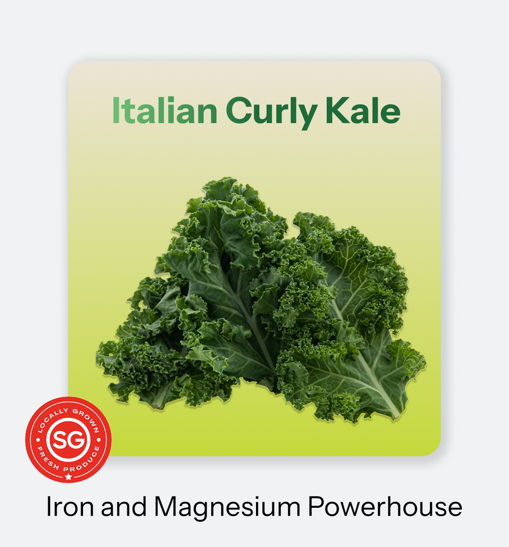 Italian_Curly_Kale
