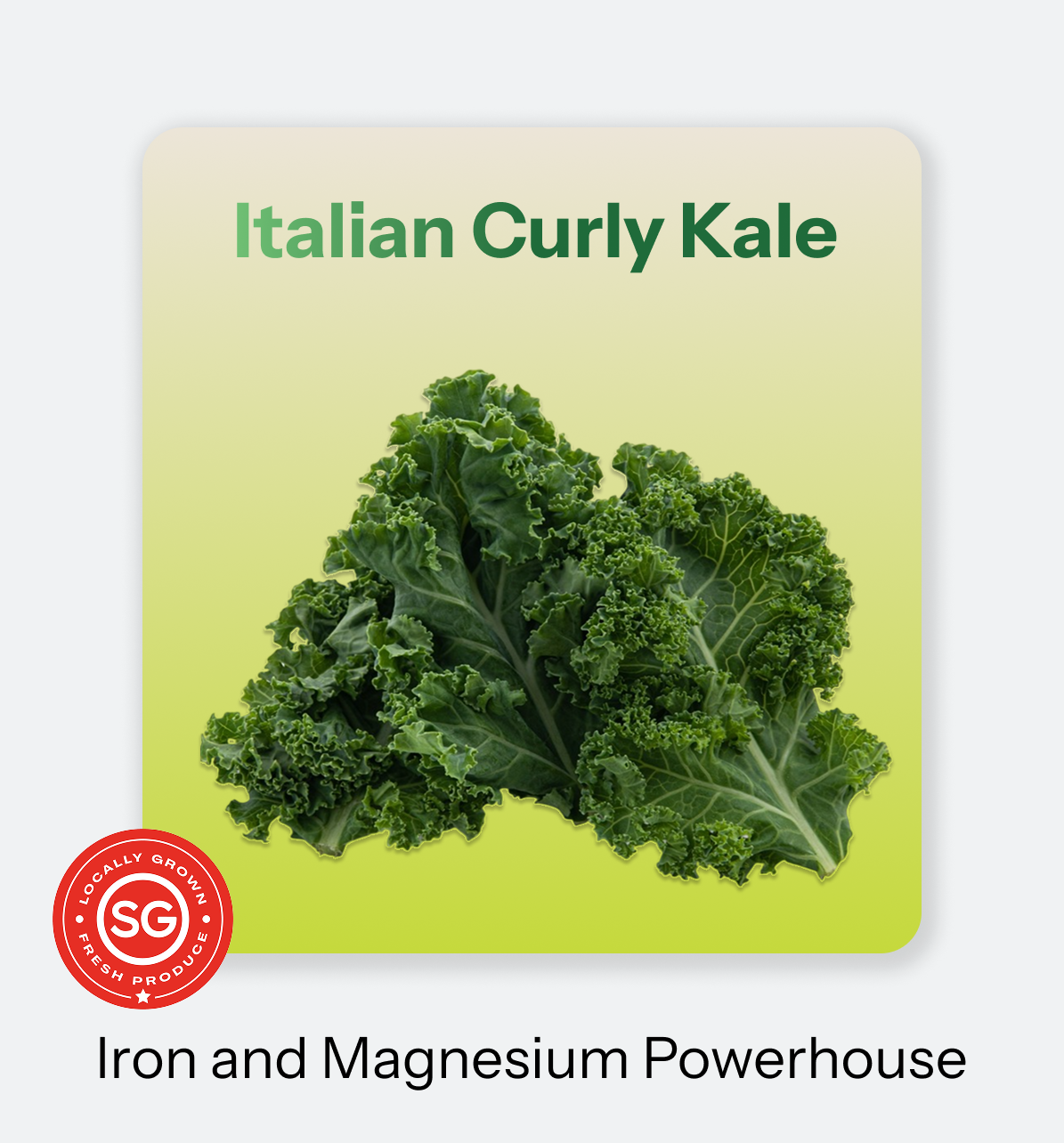 Italian_Curly_Kale