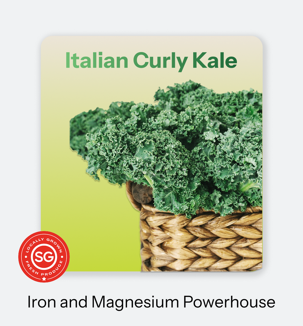 Italian Curly Kale