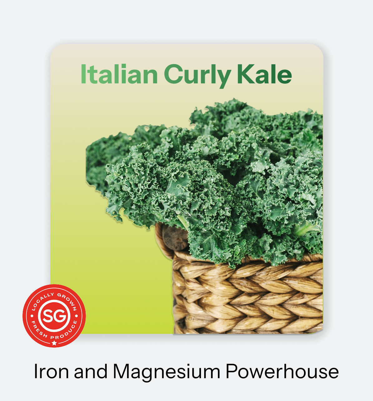 Italian Curly Kale