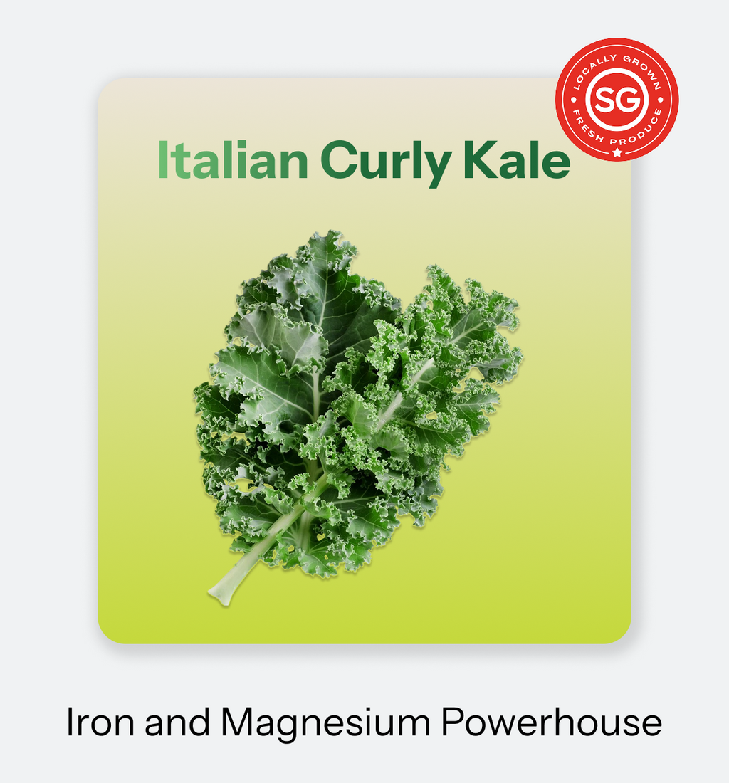 Italian Curly Kale