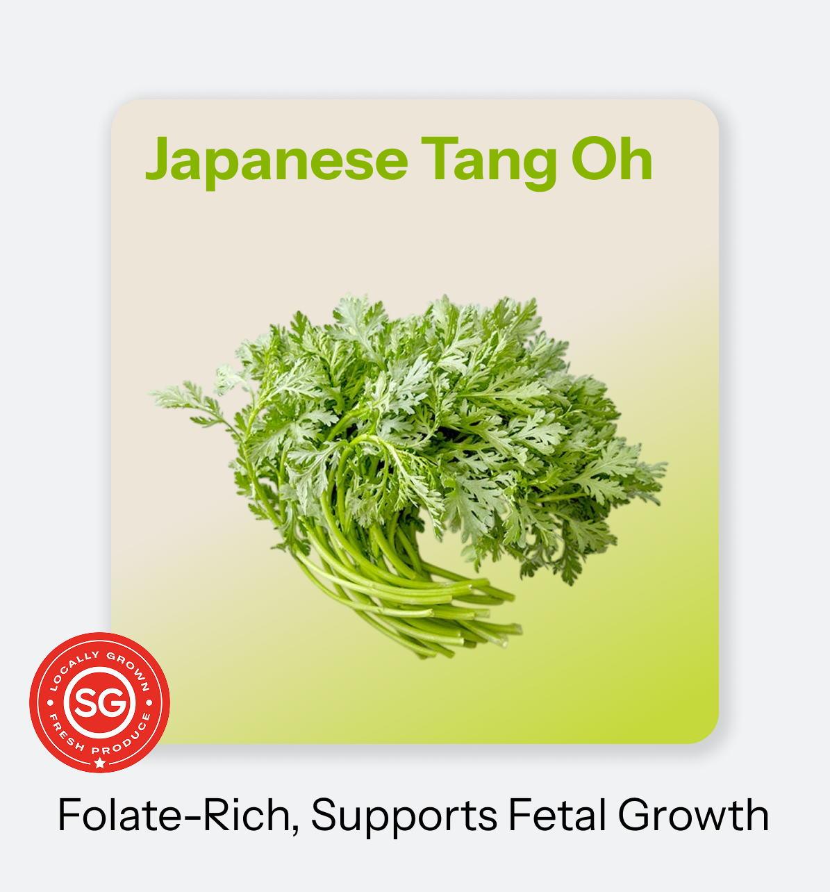 Japanese Tang Oh