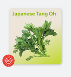 Japanese_Tang_Oh