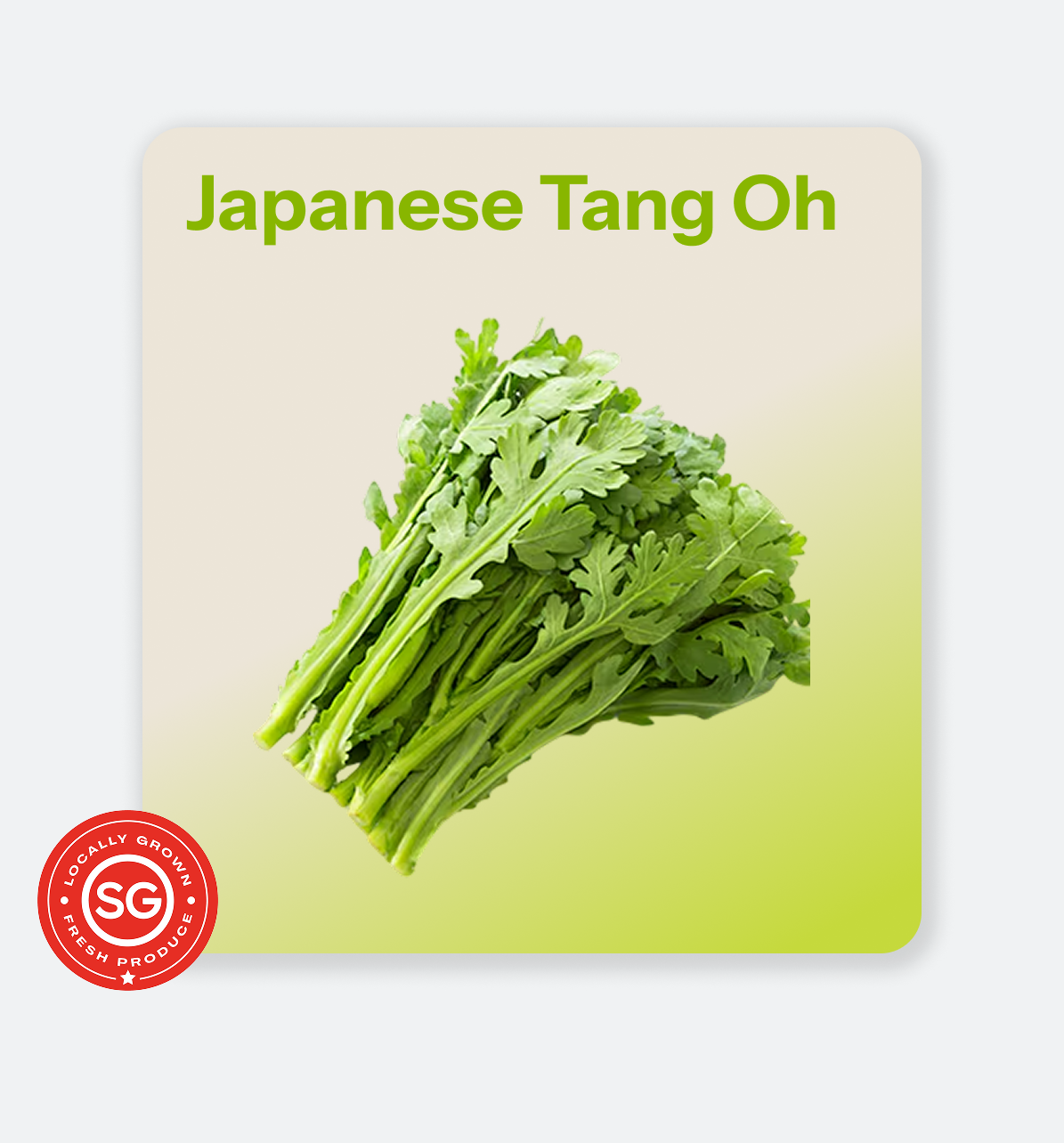 Japanese_Tang_Oh