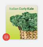 Kale