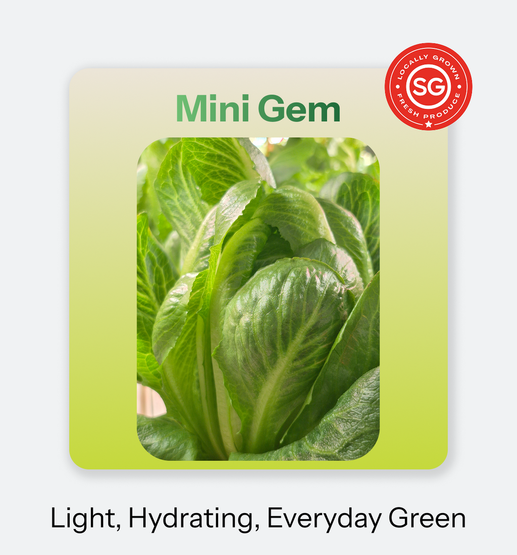 Mini_Gem