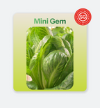 Mini_Gem