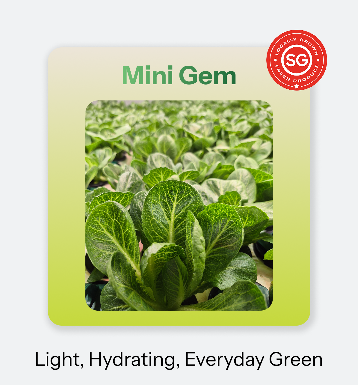 Mini Gem