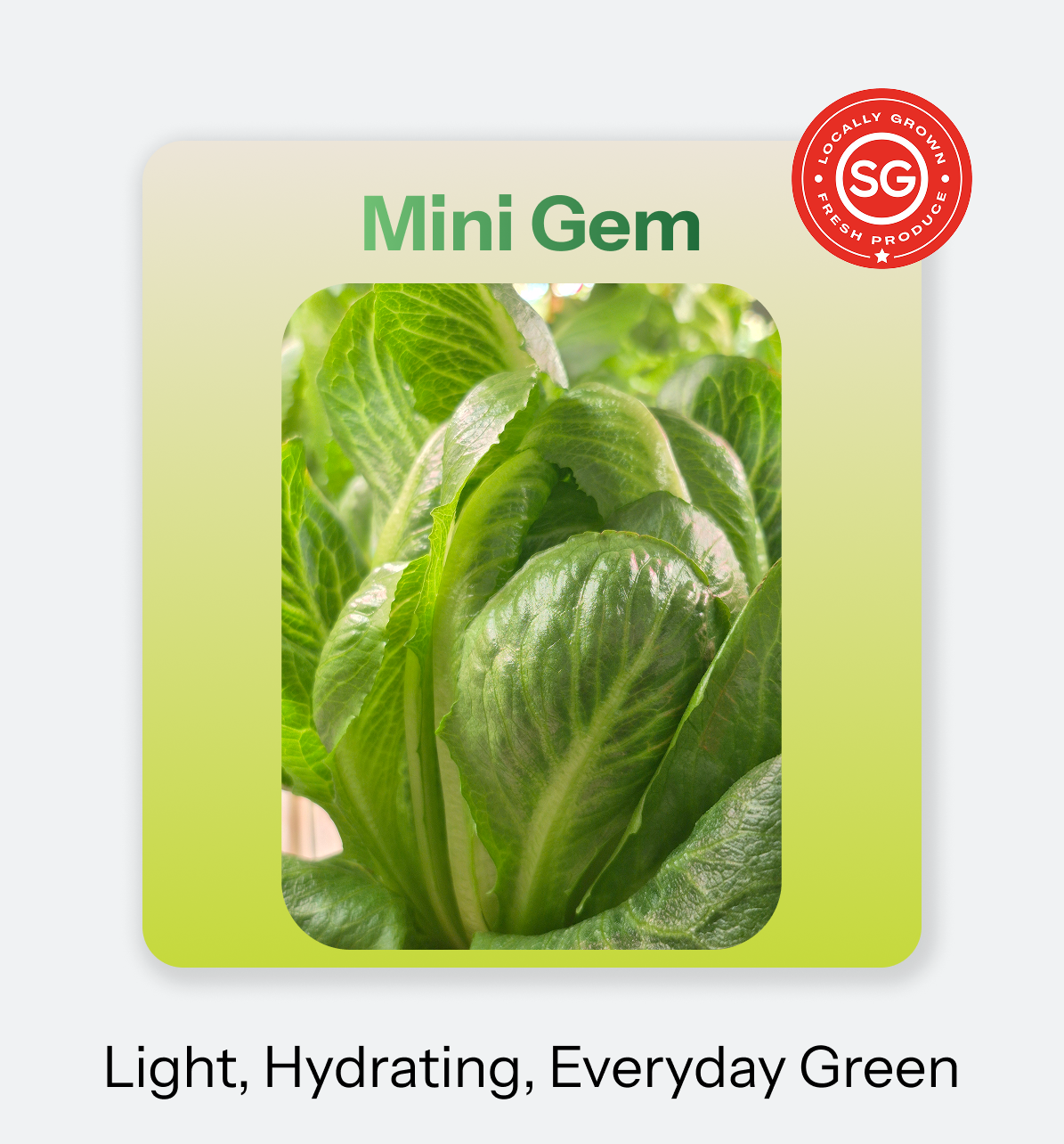 Mini Gem