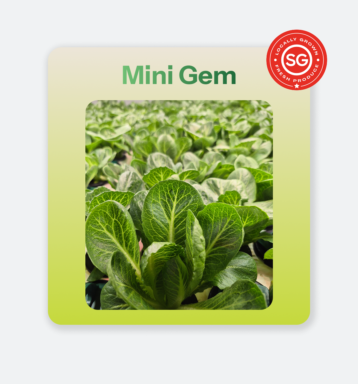 Mini_Gem