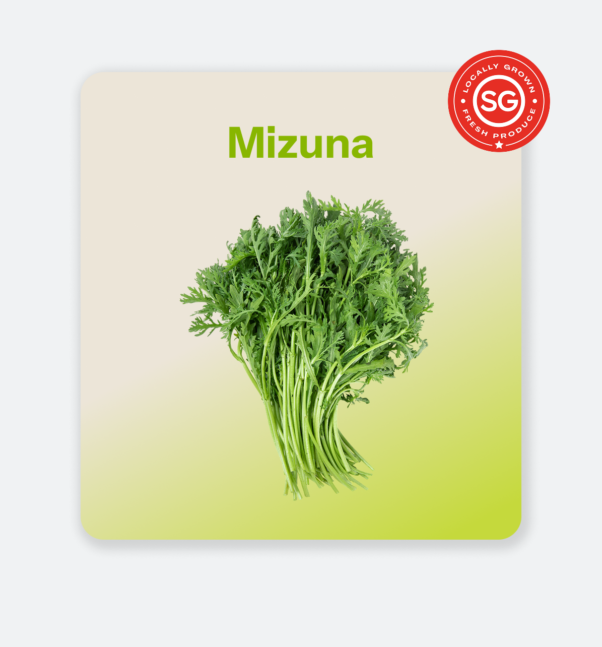 Mizuna