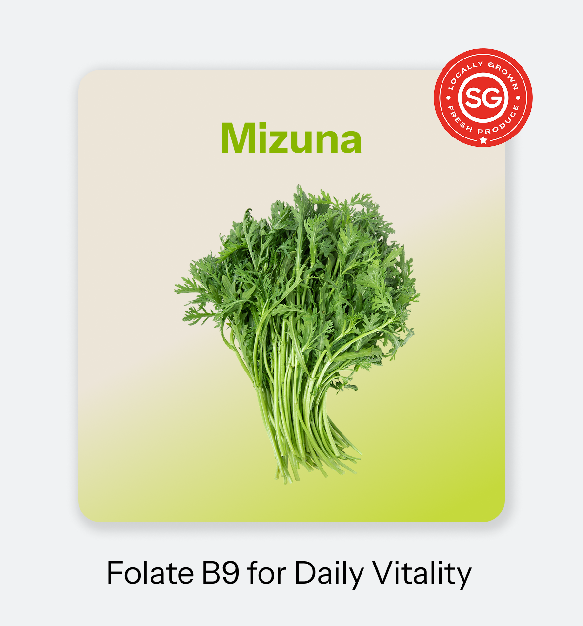Mizuna