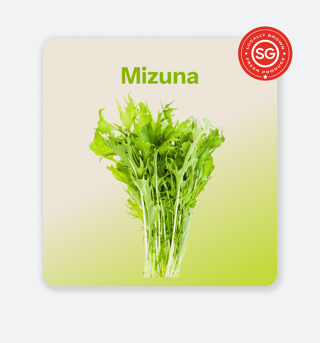 Mizuna