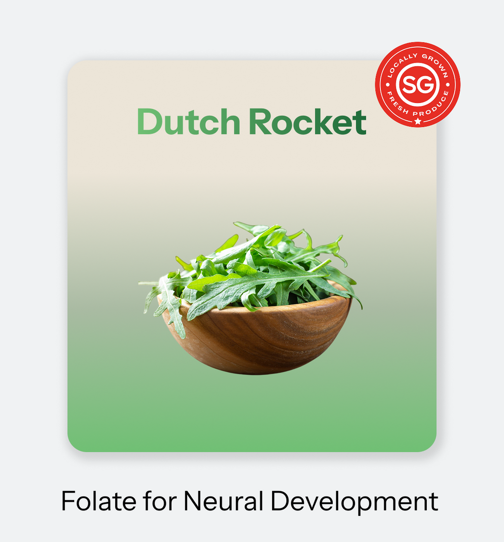 Mother_s_Bloom-_Dutch_Rocket_2