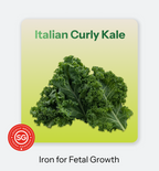 Mother_s_Bloom-_Kale-1
