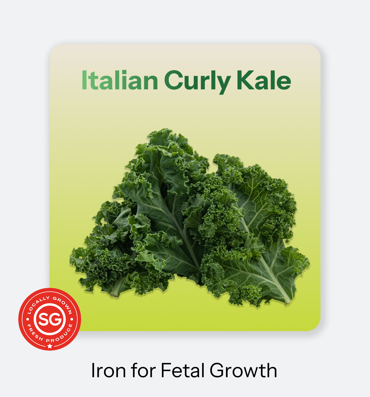 Mother_s_Bloom-_Kale-1