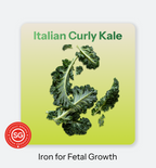 Mother_s_Bloom-_Kale