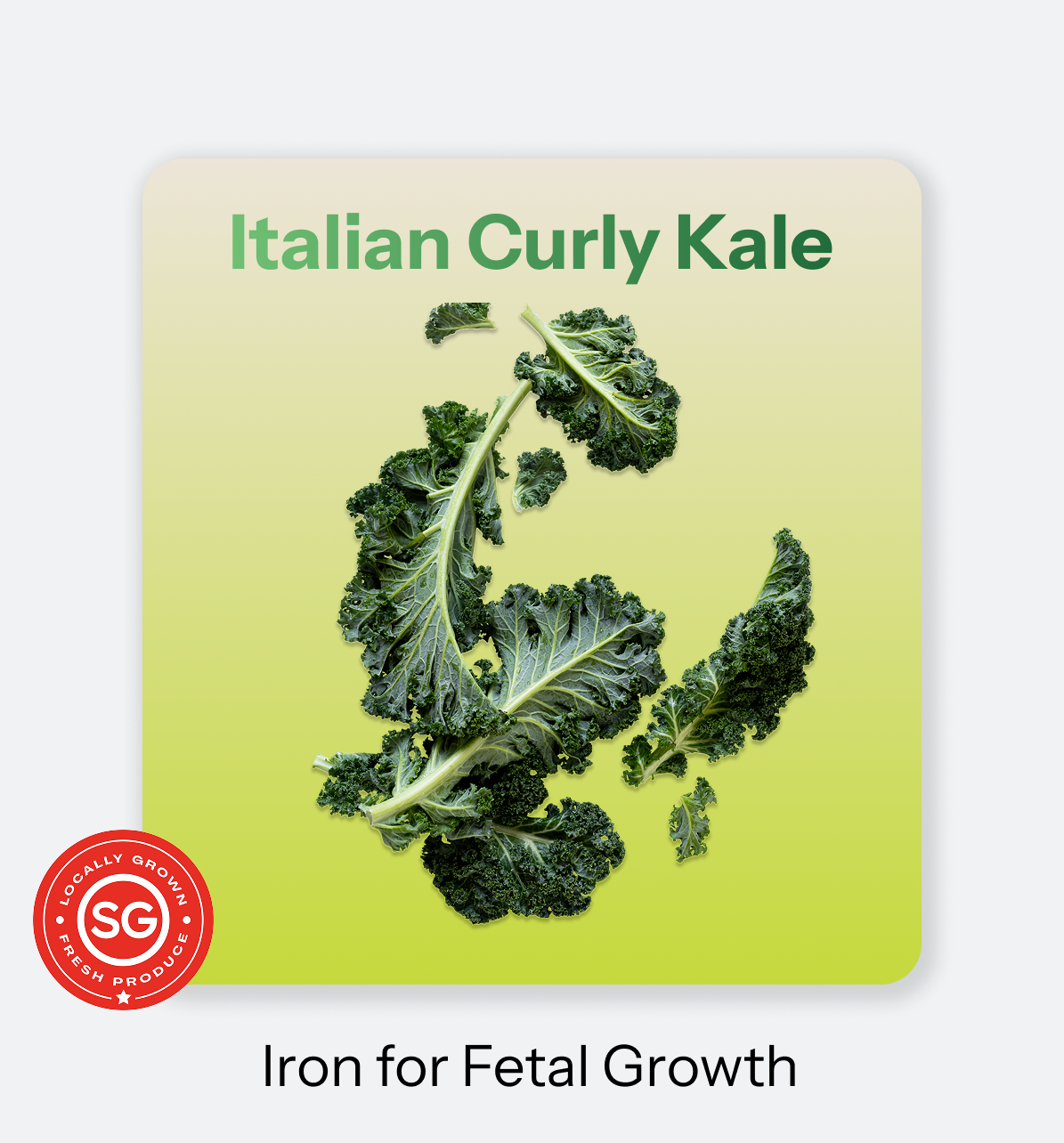 Mother_s_Bloom-_Kale