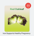 Red Oakleaf