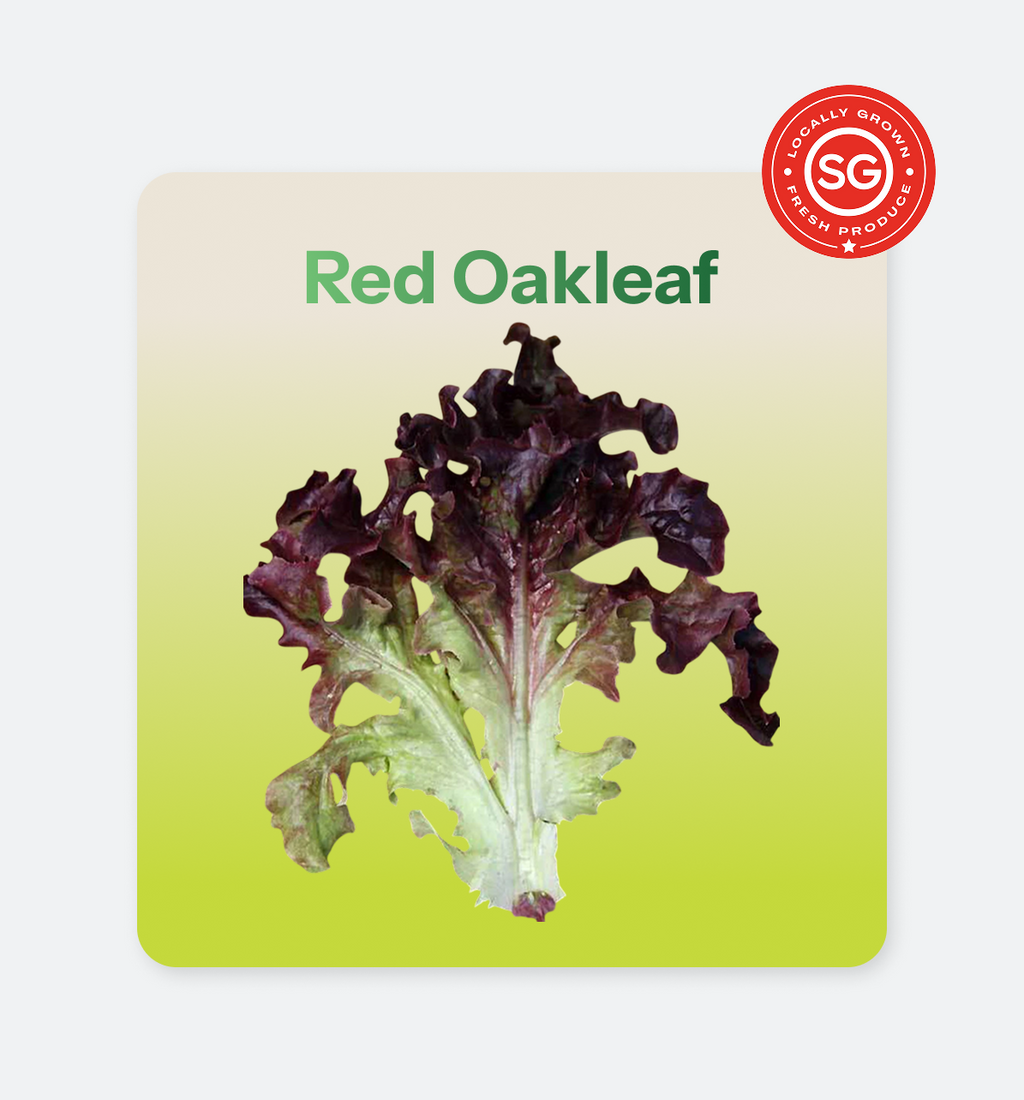 Red_Oakleaf