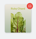 Ruby Chard