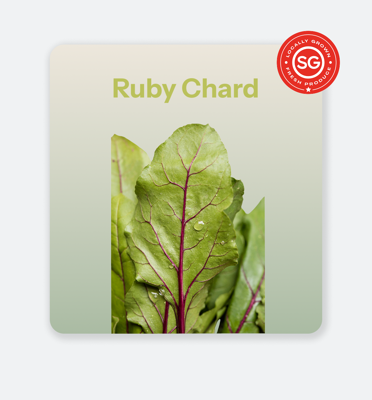 Ruby Chard