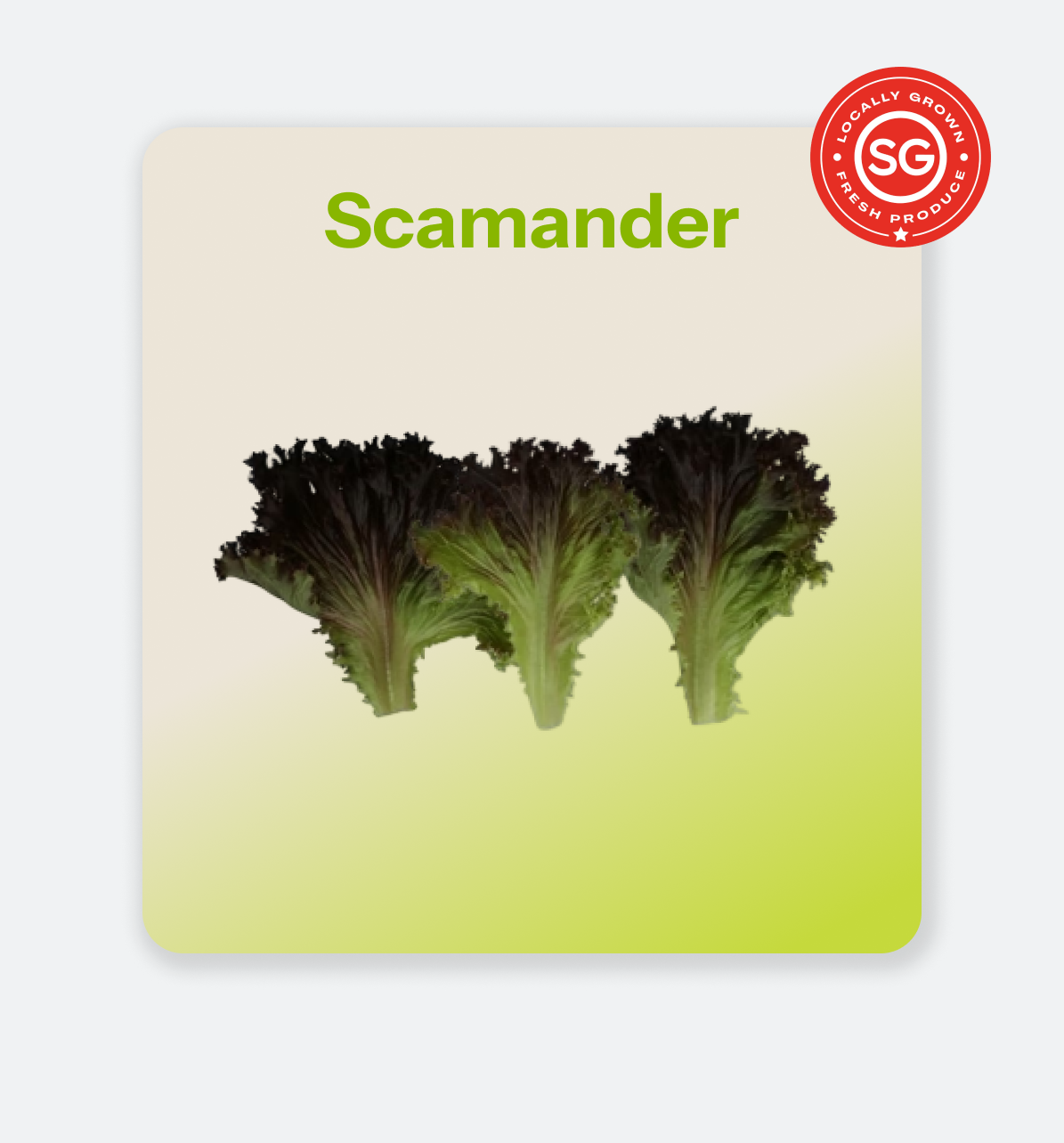 Scamander